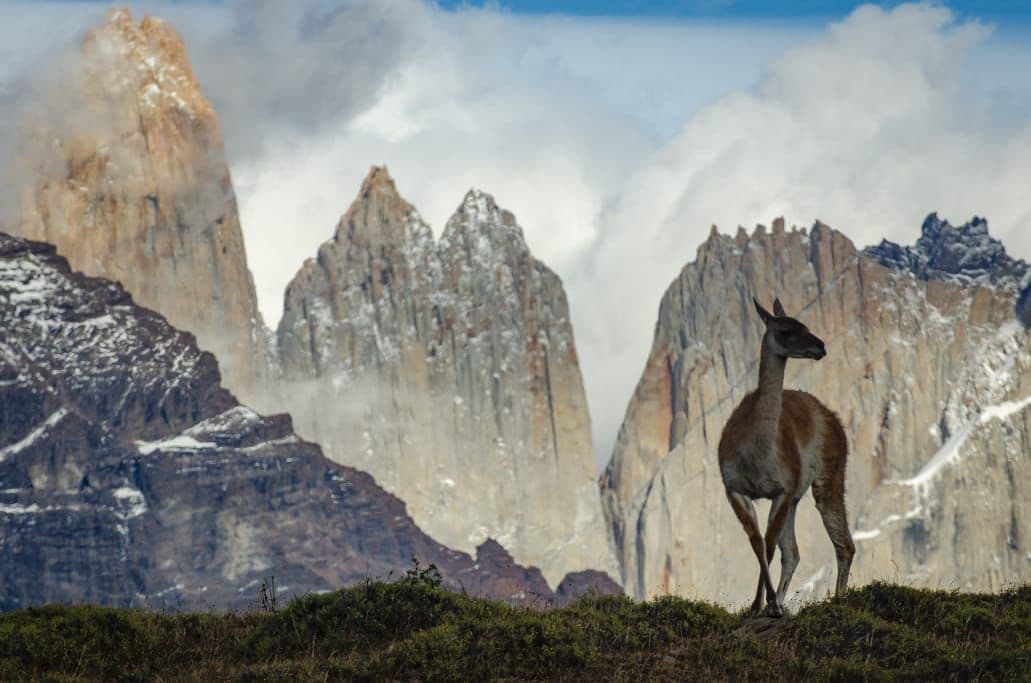 Torres del Paine